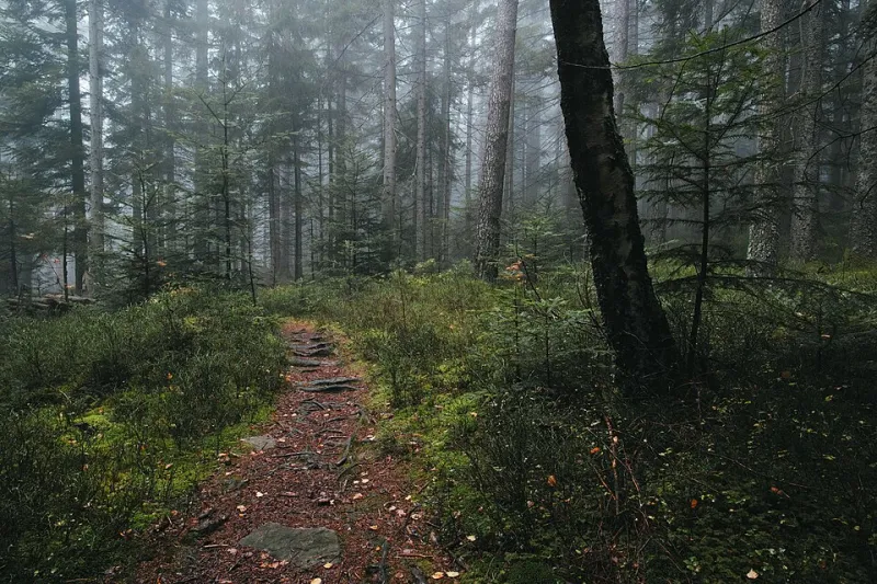 The Second Playthrough Problem: Why Understanding Silent Hill Costs You Everything