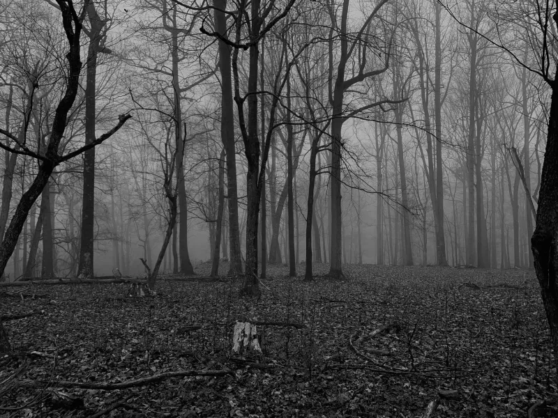 Still Buying the Ticket: Why Silent Hill's Worst Games Keep Their Hooks in Us